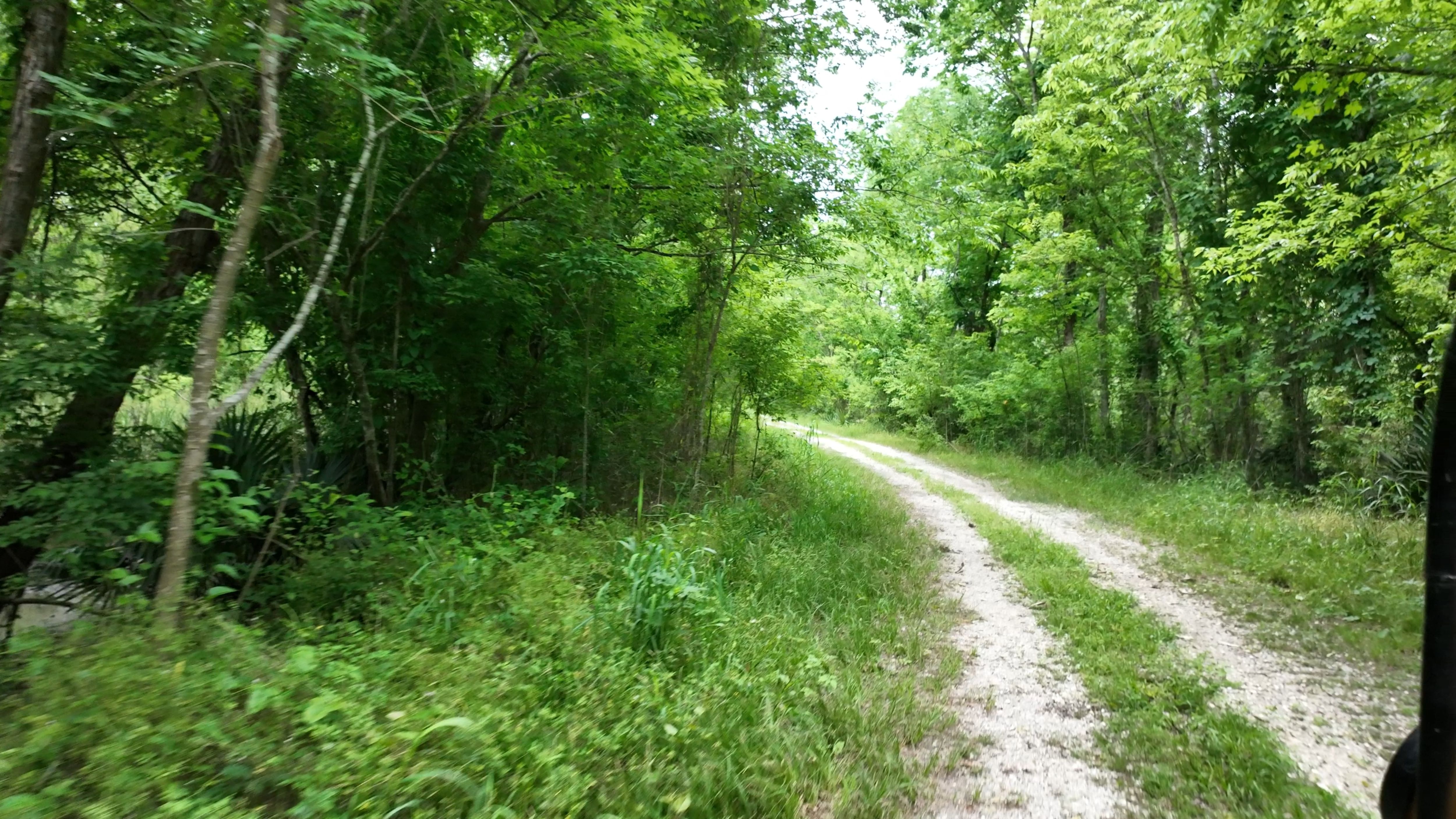 Listing Photo: Iberville Parish dirt road